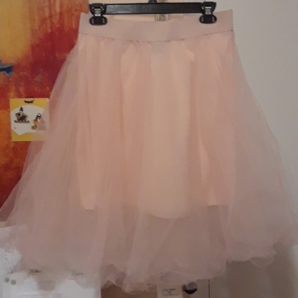 The skirt (tutu) and matching shirt set